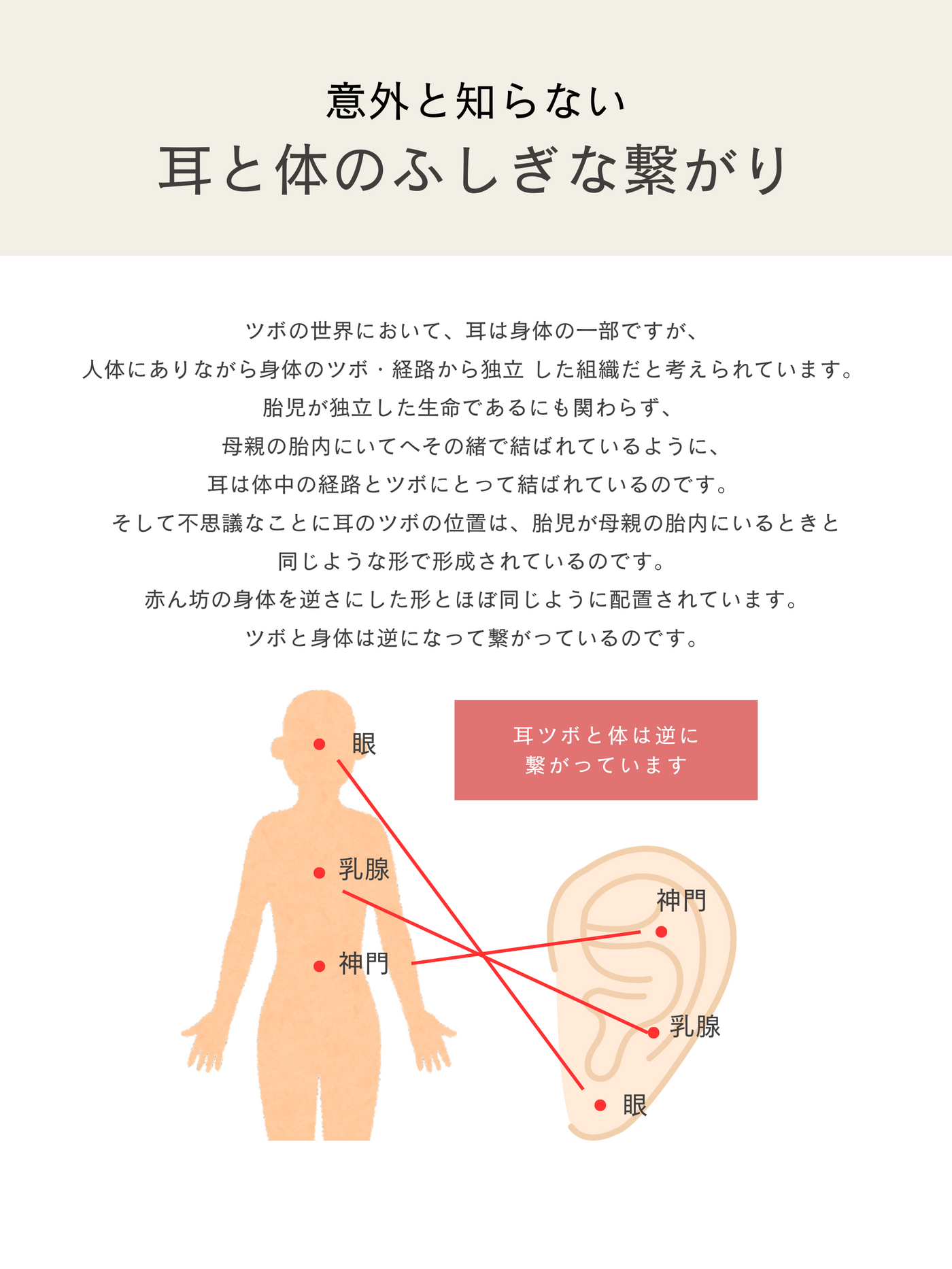 耳つぼジュエリー シール式 プチプラ LENERA ディテール