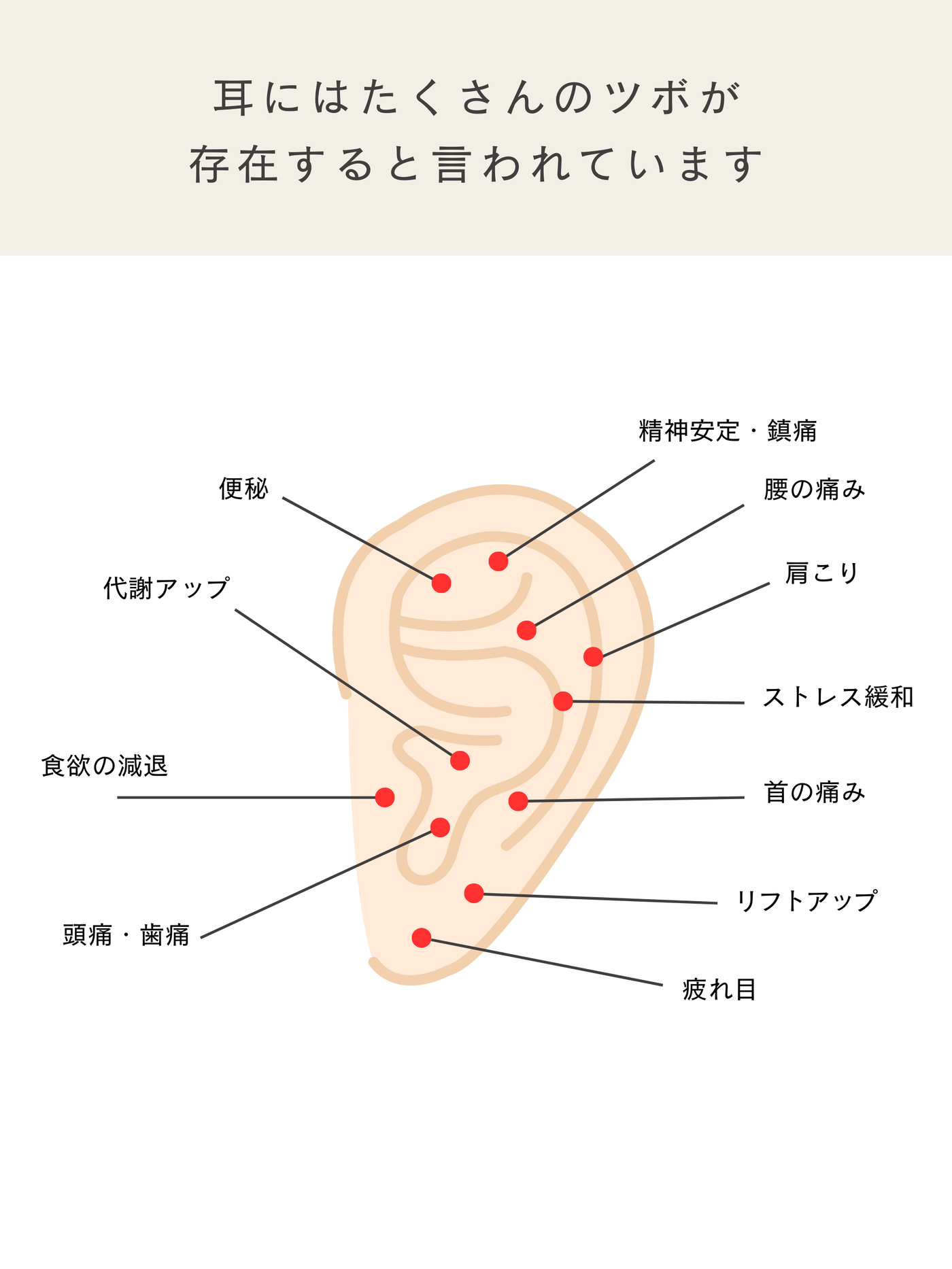 耳つぼジュエリー シール式 プチプラ LENERA サイズ感