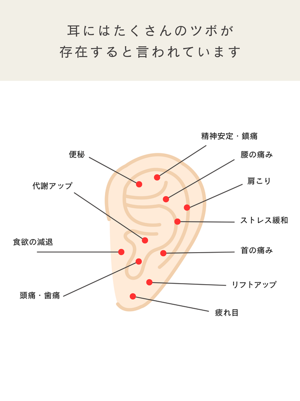耳つぼジュエリー シール式 プチプラ LENERA サイズ感