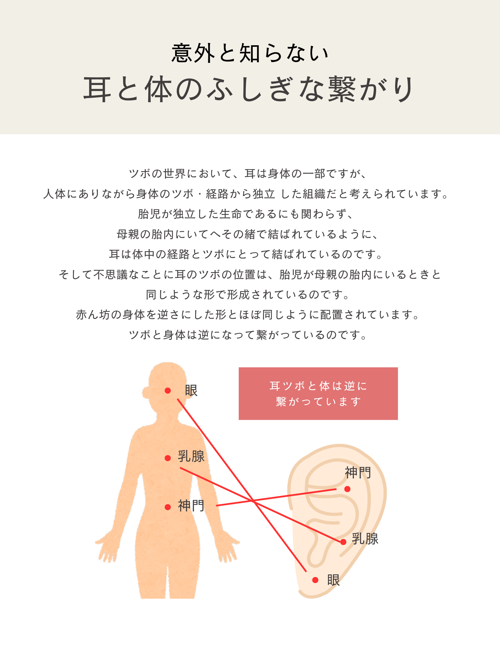 耳つぼジュエリー シール式 プチプラ LENERA ディテール