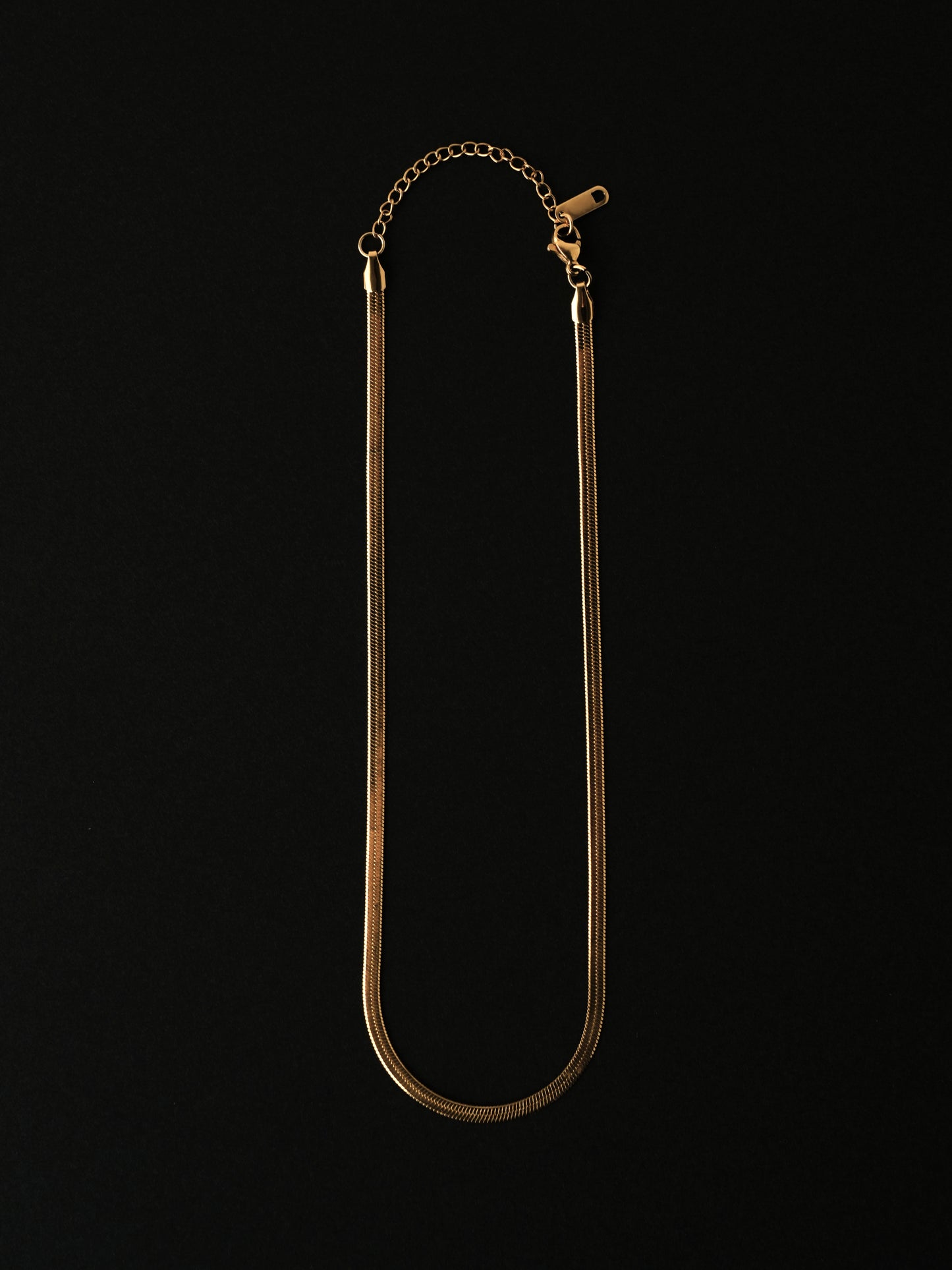 サージカルステンレス ネックレス 金属アレルギー対応 レディース LENERA カラー