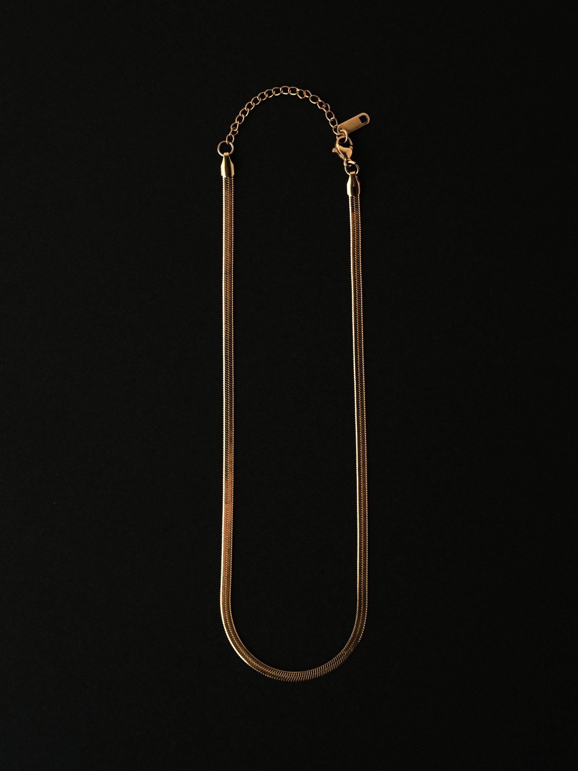 サージカルステンレス ネックレス 金属アレルギー対応 レディース LENERA カラー