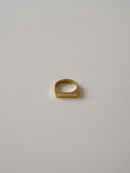 サージカルステンレス リング 金属アレルギー対応 レディース LENERA 着用イメージ